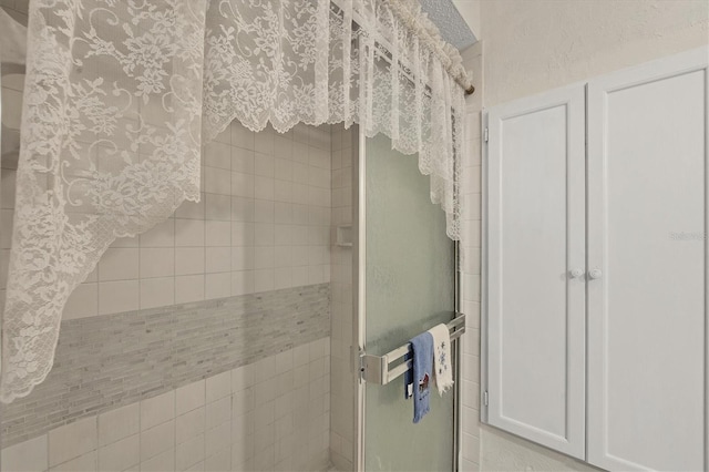 bathroom featuring a shower with door