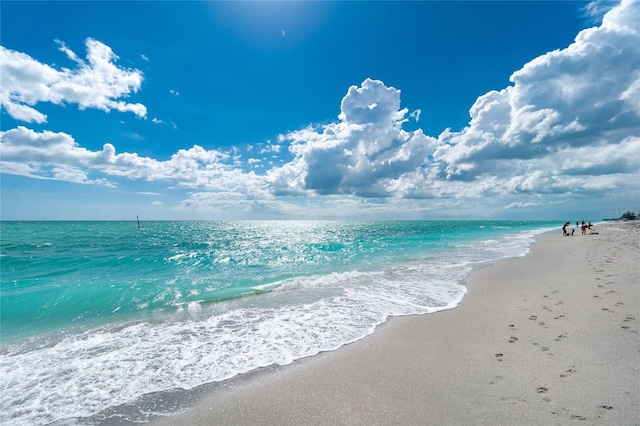 water view featuring a beach view