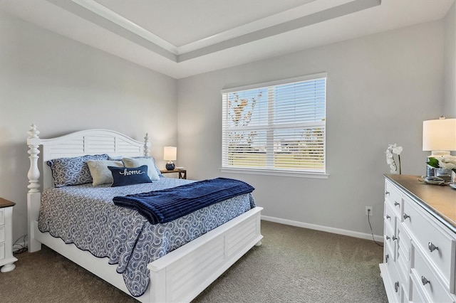 bedroom featuring carpet flooring and a raised ceiling