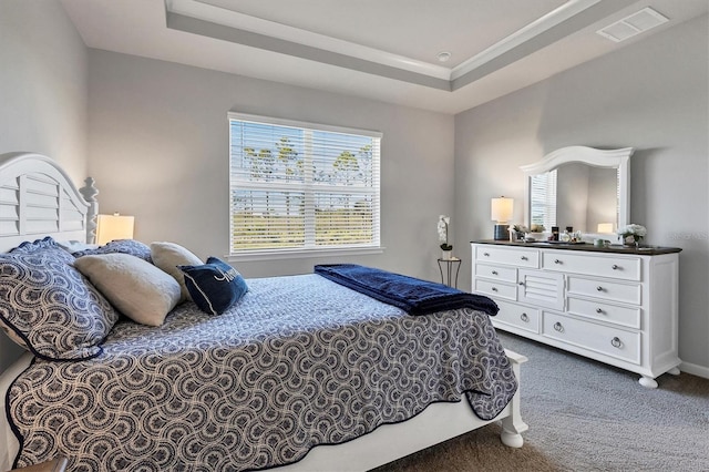 bedroom with dark colored carpet and a raised ceiling