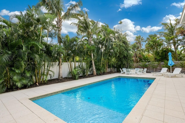 view of swimming pool featuring a patio area