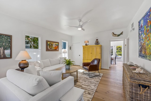 living room featuring ceiling fan and light wood-type flooring