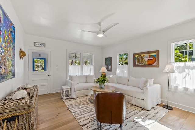 living room featuring ceiling fan and light hardwood / wood-style flooring