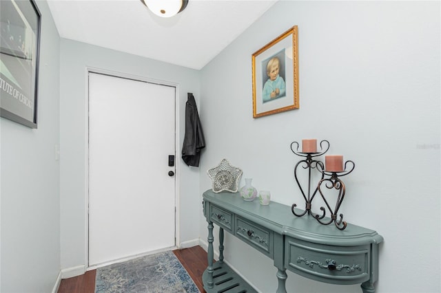 foyer entrance featuring dark wood-type flooring