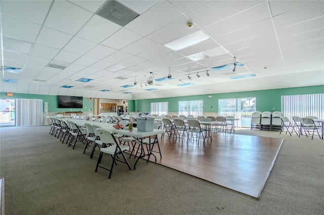 dining space featuring a paneled ceiling, a healthy amount of sunlight, and carpet