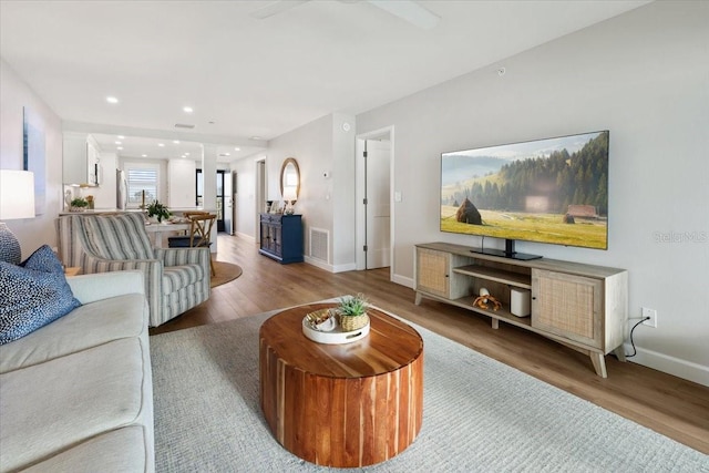 living room featuring wood-type flooring