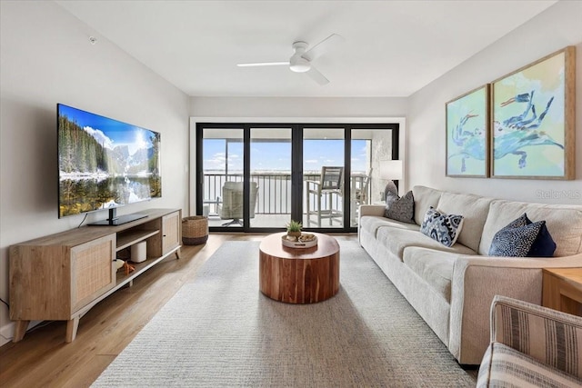 living room featuring ceiling fan and hardwood / wood-style flooring