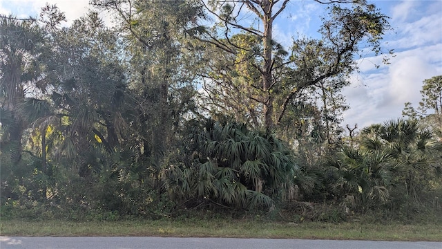 107 Juper St, Port Charlotte FL, 33953 land for sale