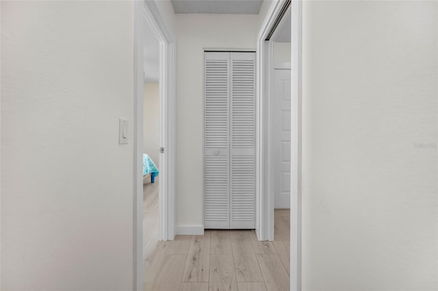 hallway featuring light hardwood / wood-style floors