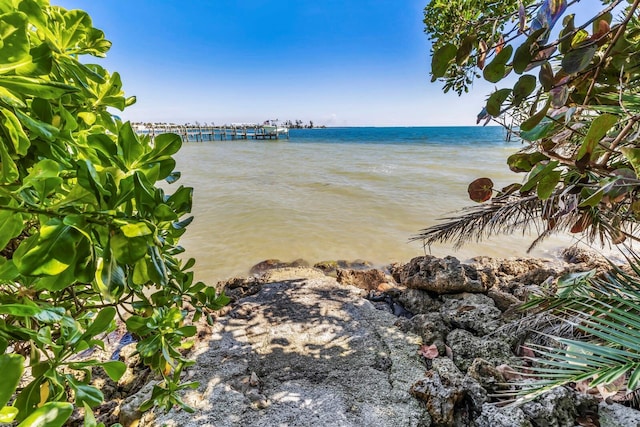 view of water feature featuring a view of the beach