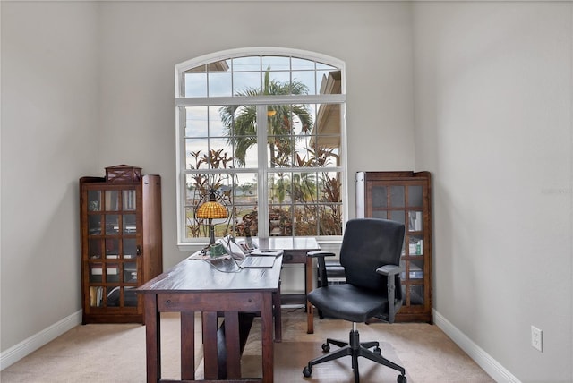 office area featuring light colored carpet and a wealth of natural light