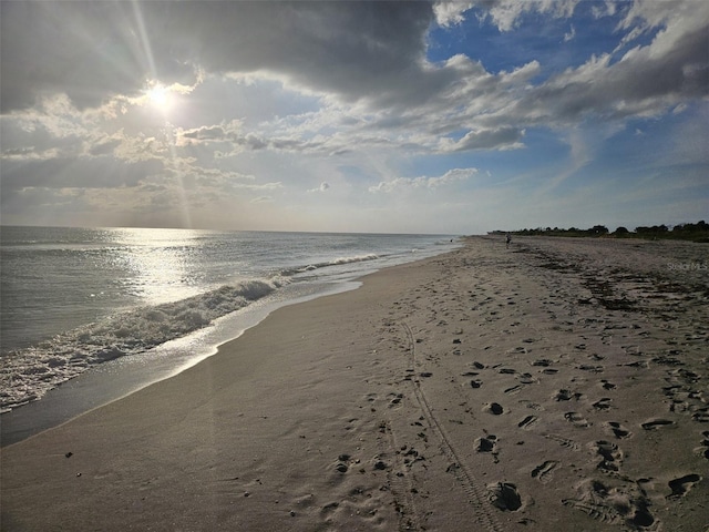 water view featuring a beach view