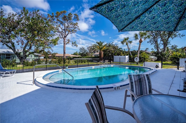 view of pool with a patio