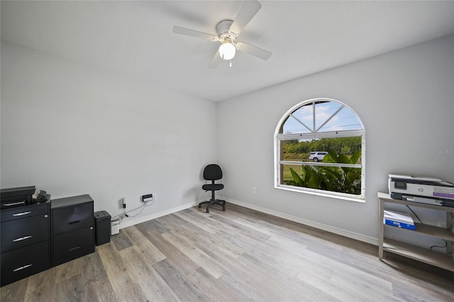 interior space featuring ceiling fan and light wood-type flooring