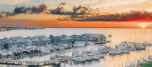 water view featuring a boat dock