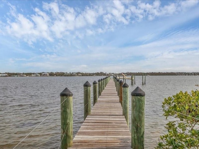 dock area with a water view