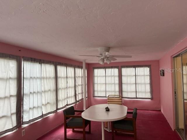 sunroom / solarium featuring ceiling fan and a wealth of natural light