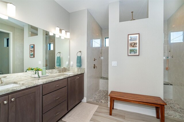 bathroom with vanity and a shower with shower door