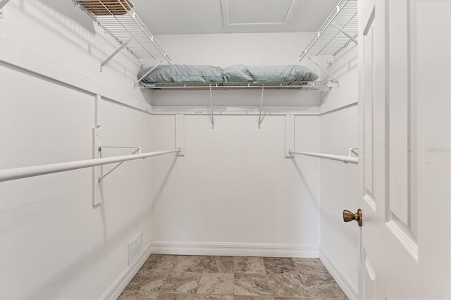 view of spacious closet