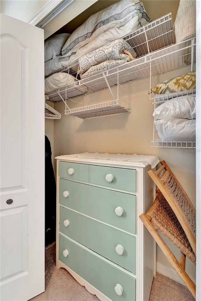 spacious closet with light carpet