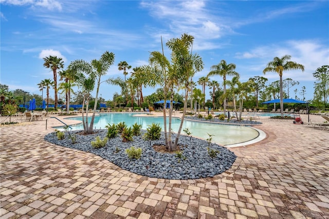 view of swimming pool with a patio area