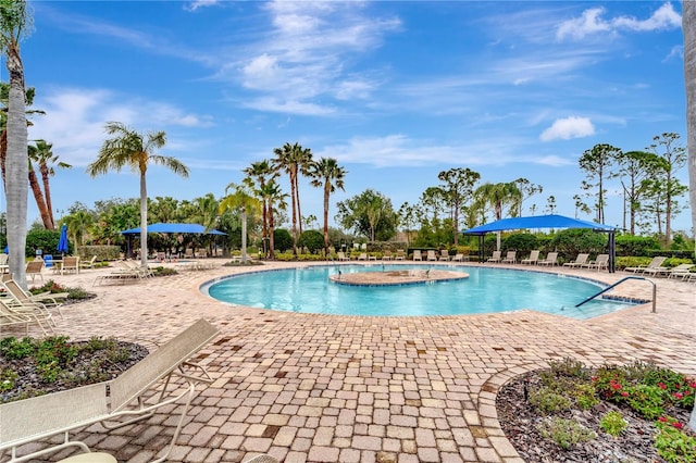 view of swimming pool with a patio