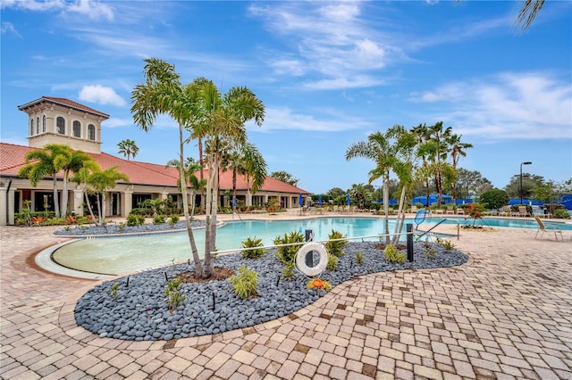 view of swimming pool