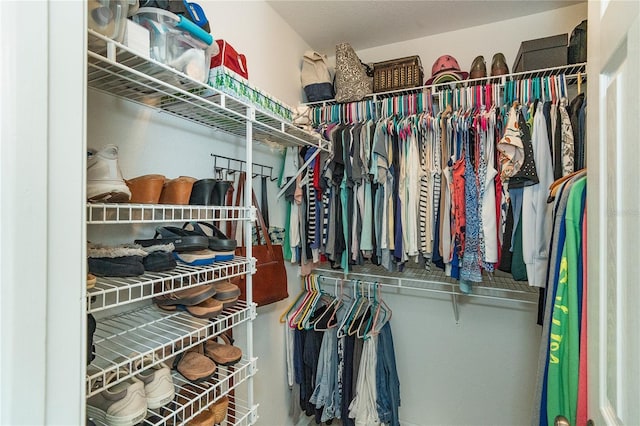 view of walk in closet