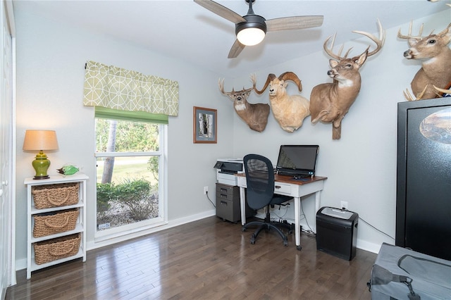 office space featuring ceiling fan and dark hardwood / wood-style floors