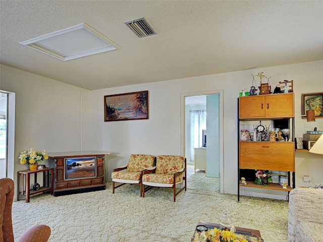 914 E 2nd St, Englewood, FL 34223 - living room featuring carpet flooring, attic access, and a textured ceiling