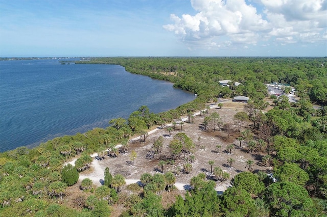 birds eye view of property with a water view and a wooded view