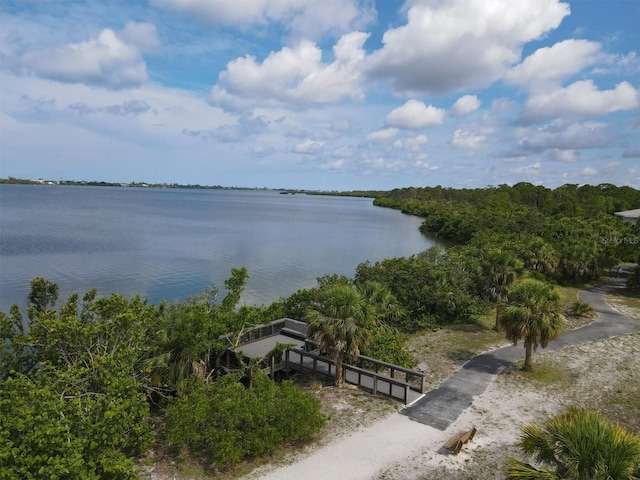 property view of water