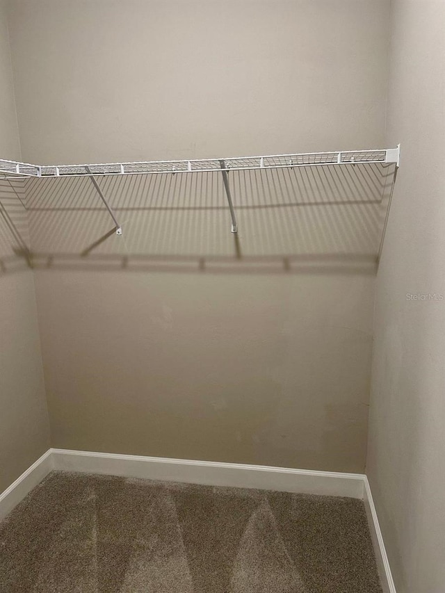 spacious closet with carpet flooring