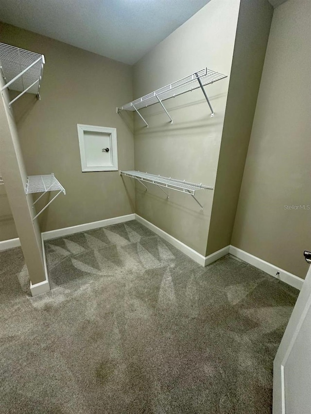 walk in closet with carpet floors