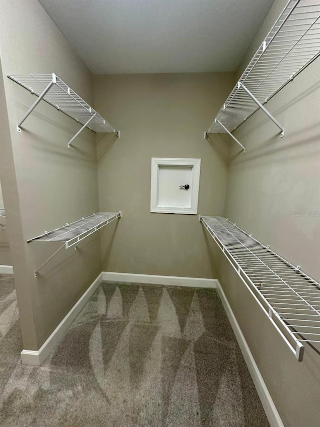 walk in closet featuring carpet flooring