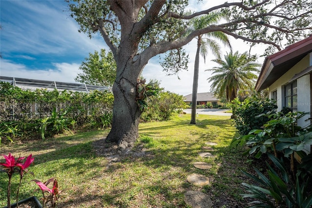 view of yard with a lanai