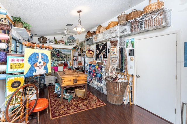 storage room with ceiling fan