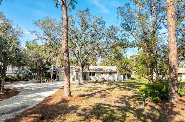 ranch-style home with a front yard