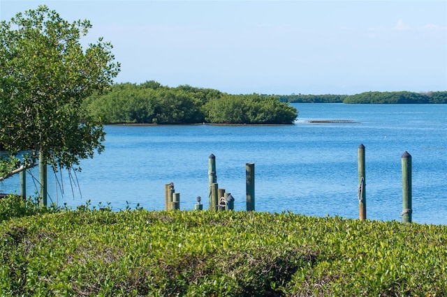 view of water feature with a dock