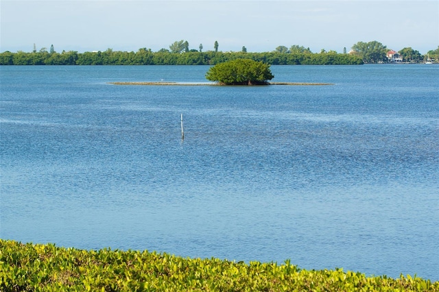 property view of water