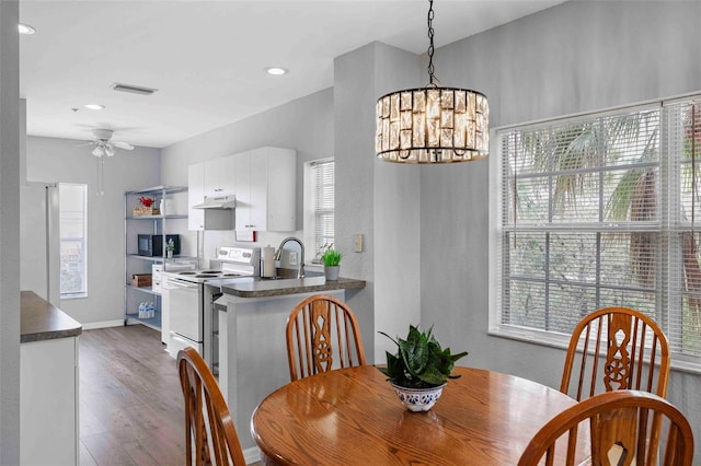 dining room with ceiling fan with notable chandelier and dark hardwood / wood-style flooring