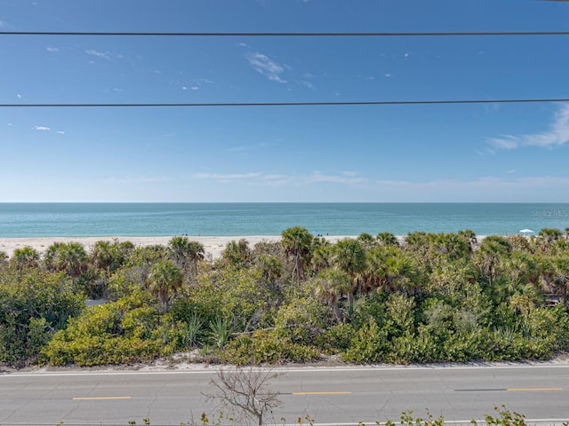 property view of water featuring a beach view