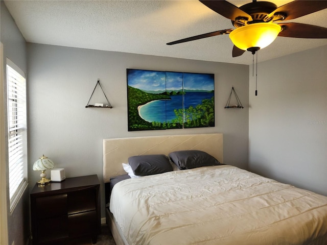 bedroom featuring ceiling fan, multiple windows, and a textured ceiling