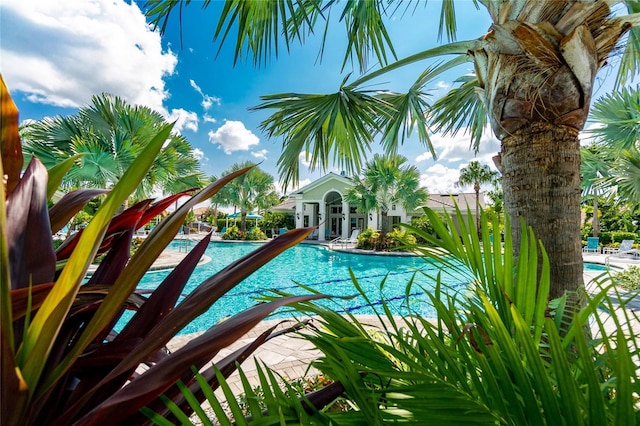 view of swimming pool with a patio area