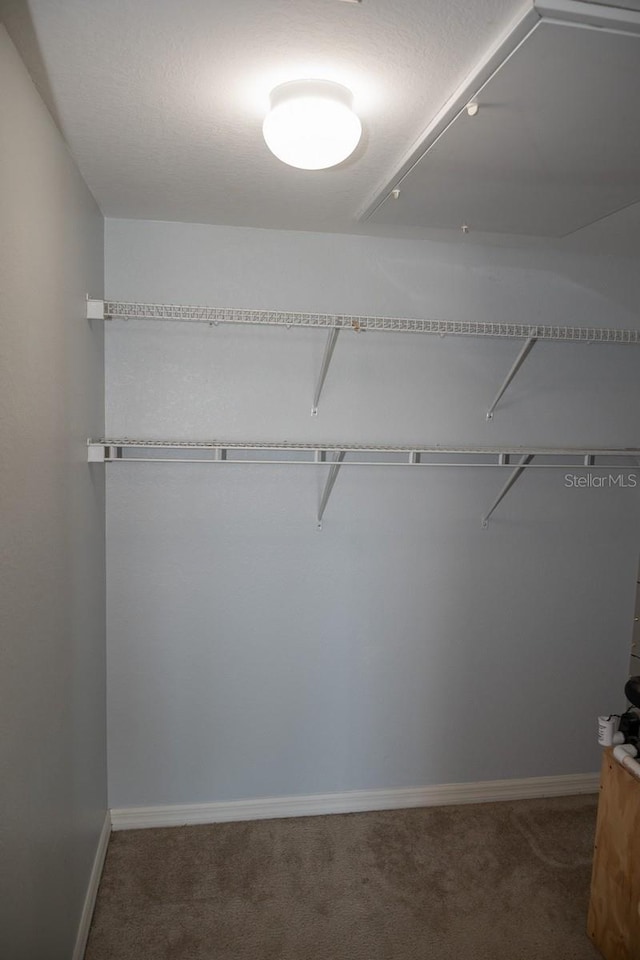 spacious closet featuring dark colored carpet