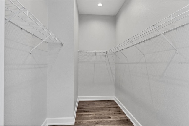 spacious closet featuring hardwood / wood-style floors