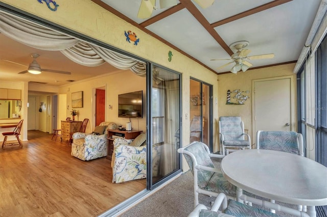 sunroom with ceiling fan