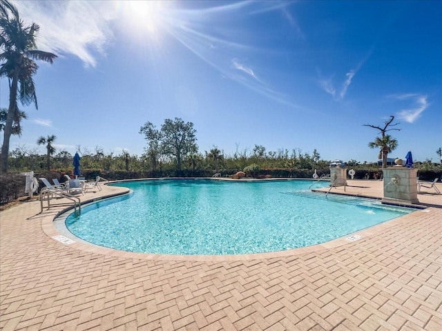 view of swimming pool with a patio