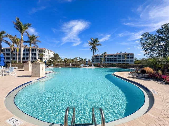 view of swimming pool featuring a patio