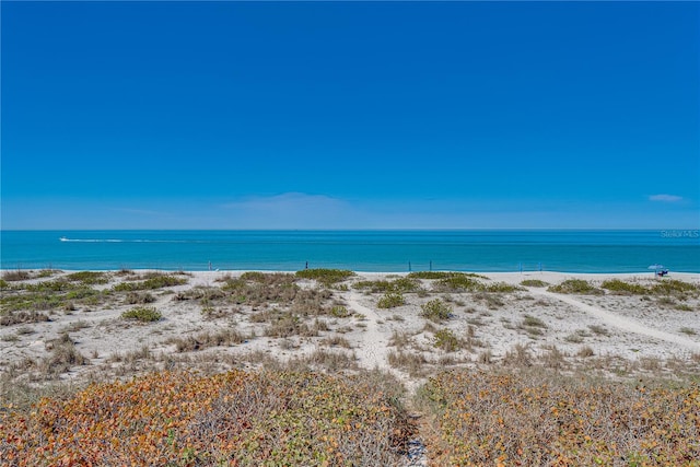 property view of water featuring a beach view